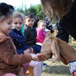 Dünya Hayvanları Koruma Günü, 4 Ekim Pazartesi günü Kadıköy’de çocukların katılımıyla kutlandı.